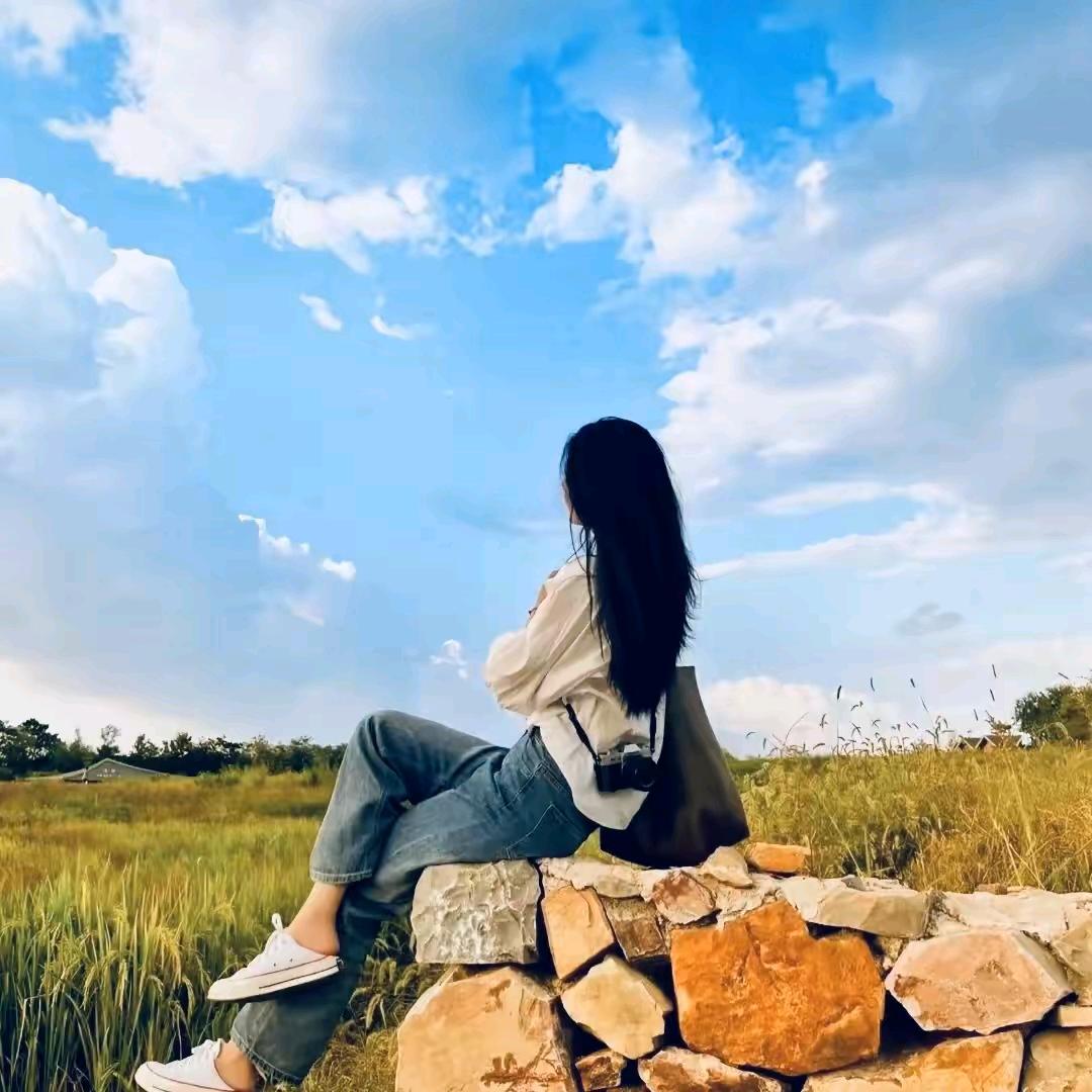 仿楼