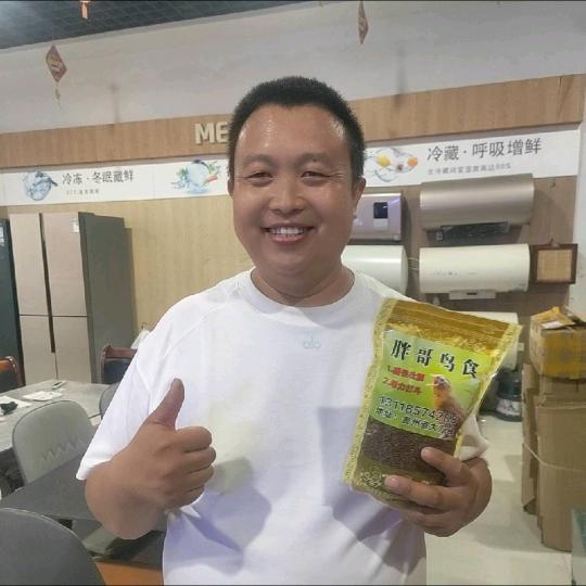 丁胖哥鸟食鸟具店