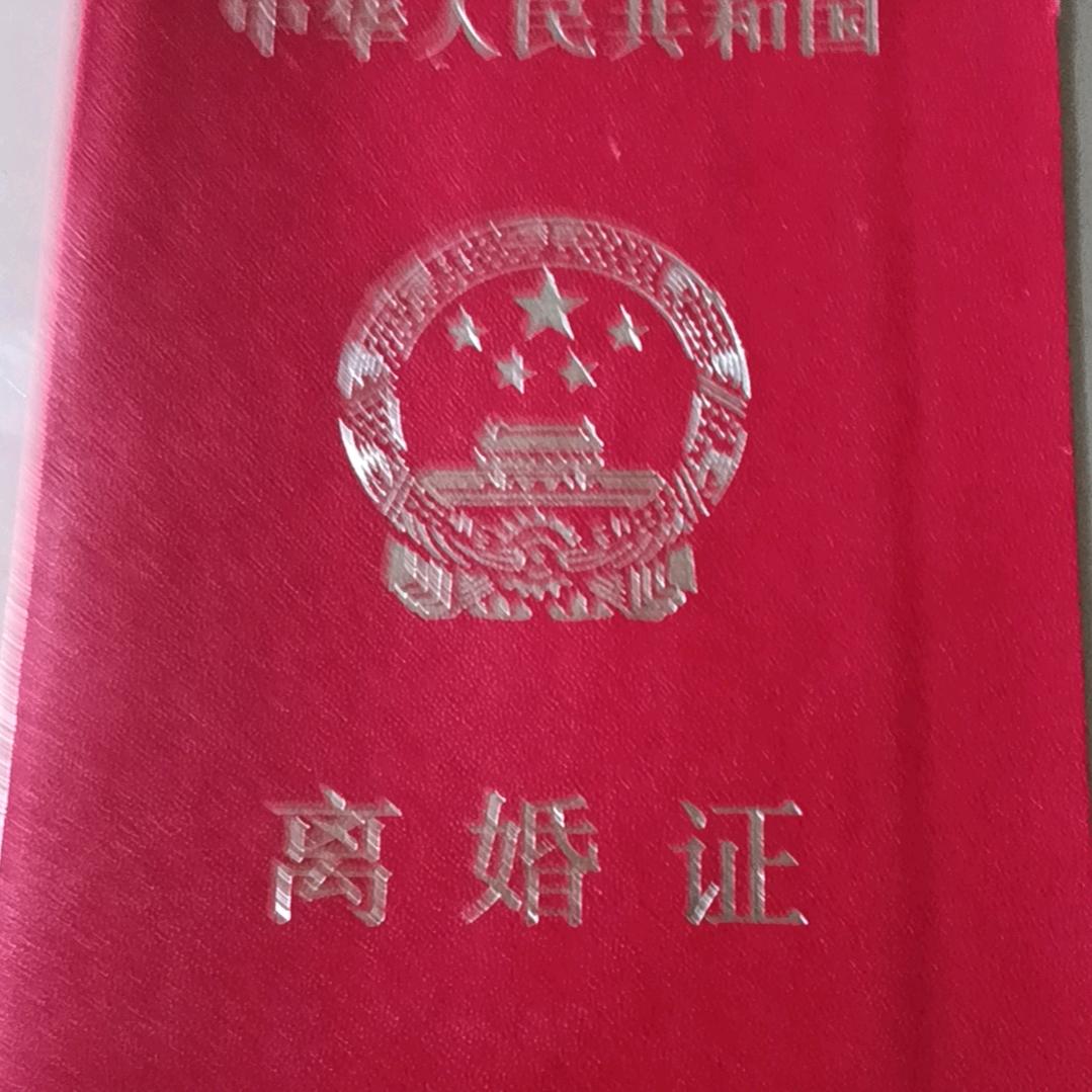 香椿小杨哥🤝