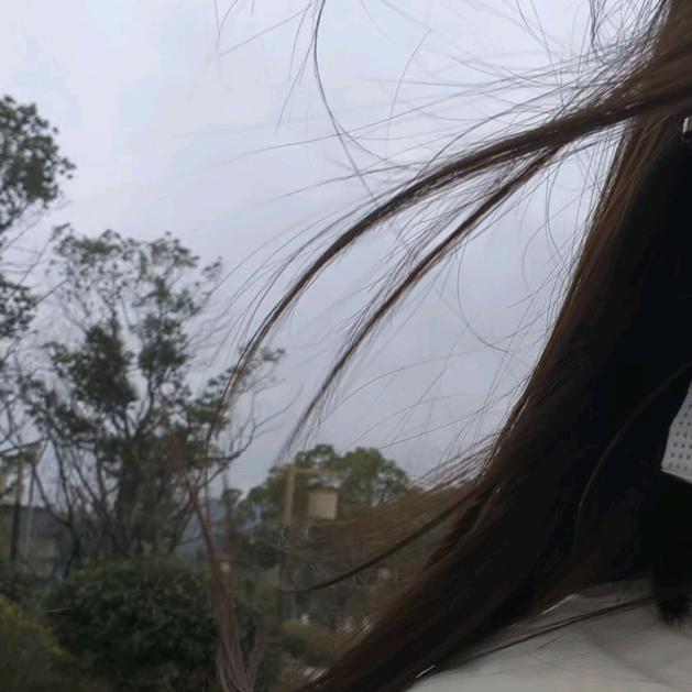 小番茄