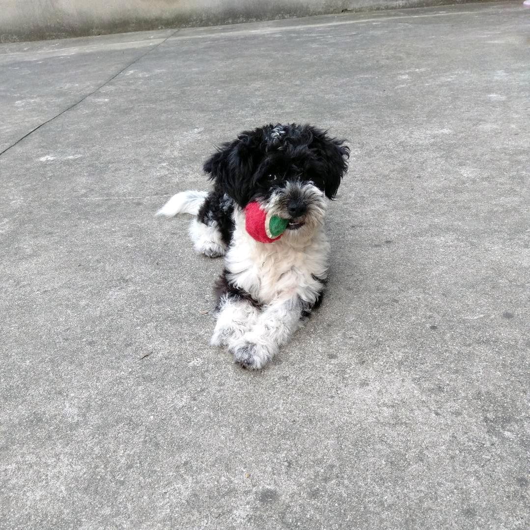 静下心来