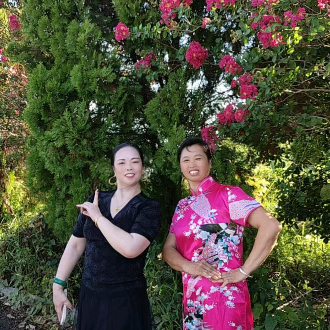 老年博主