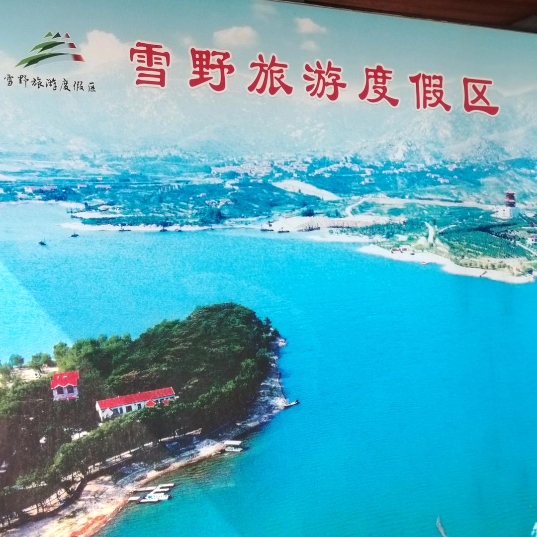 云姐（厨窗好物）