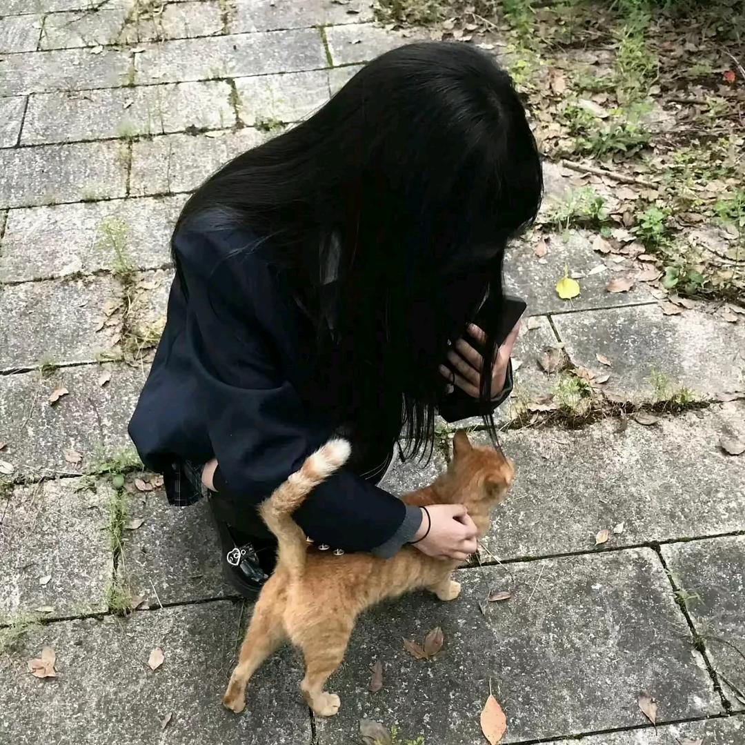 故鱼