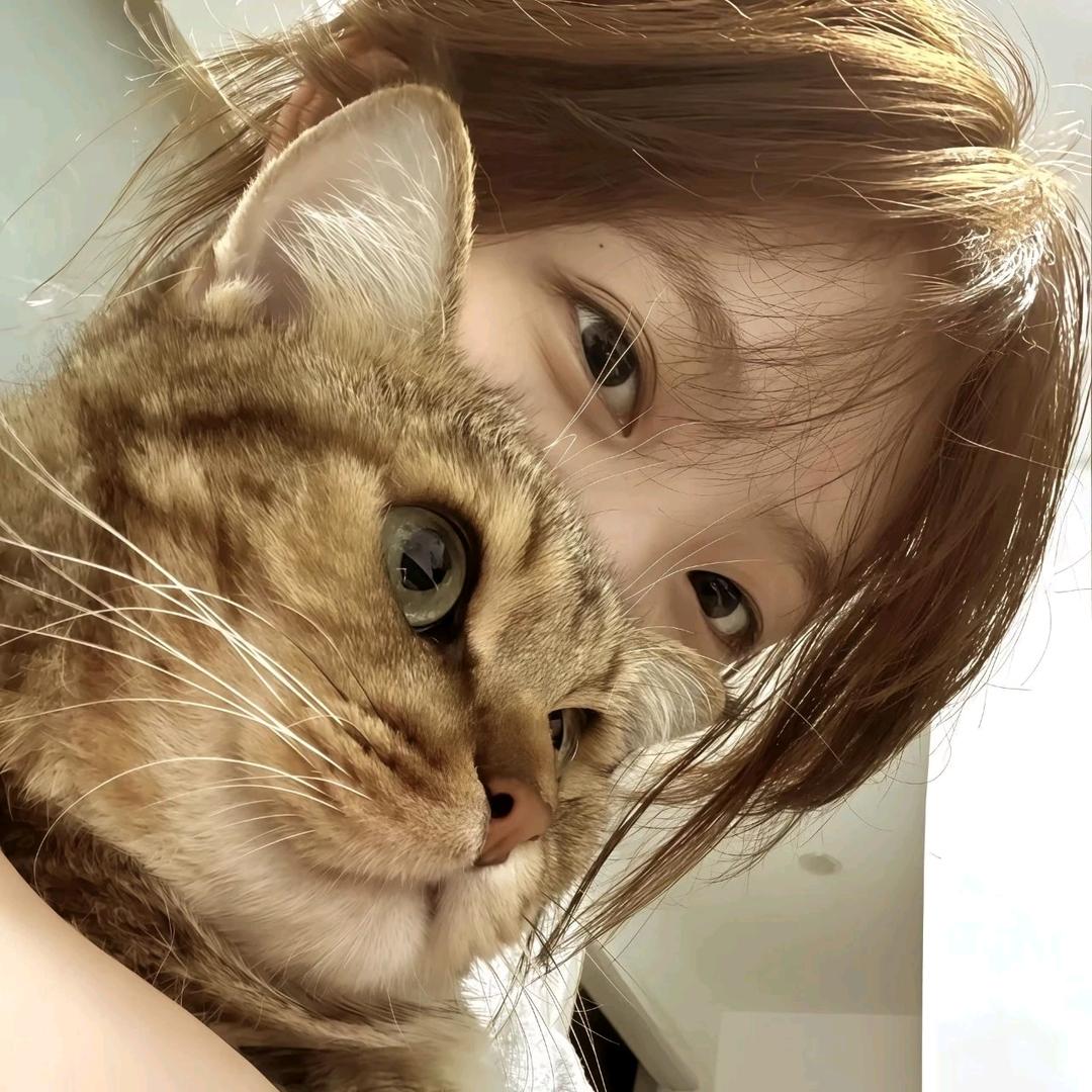 命比黄连苦三分