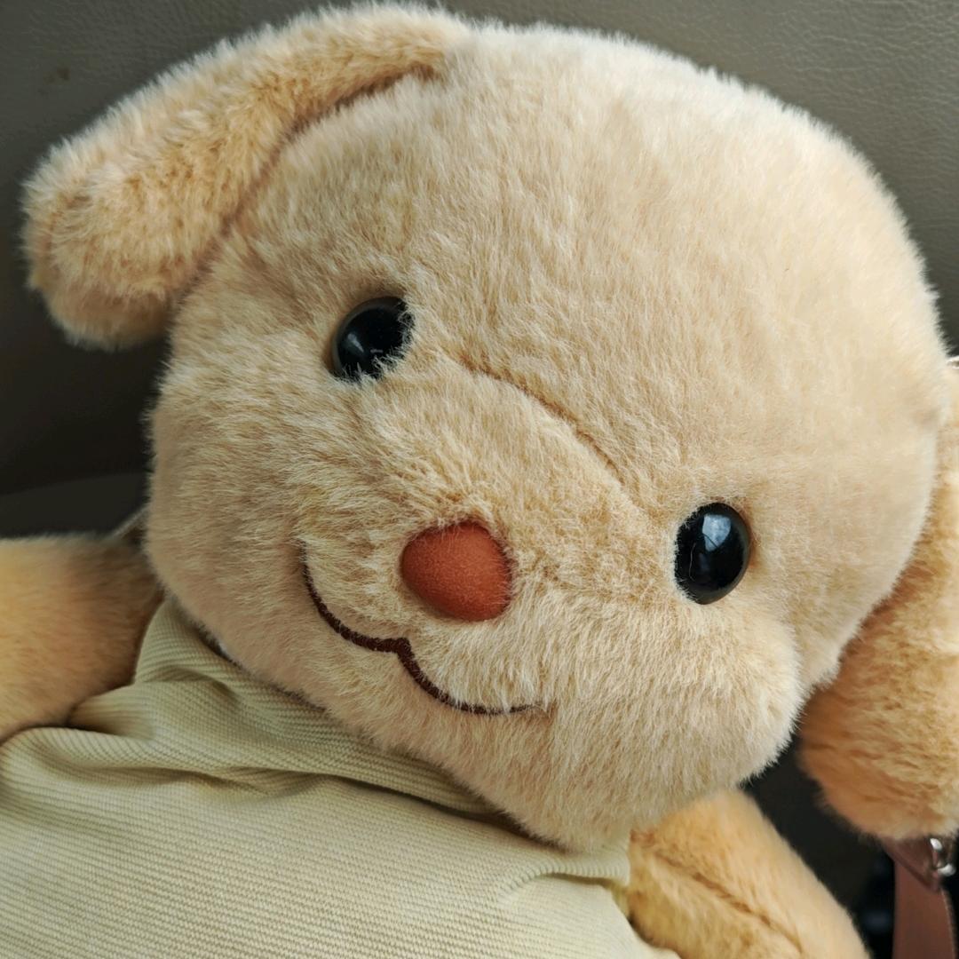 只会嘻嘻哈哈哈