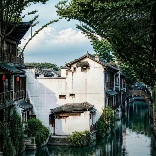赵哥