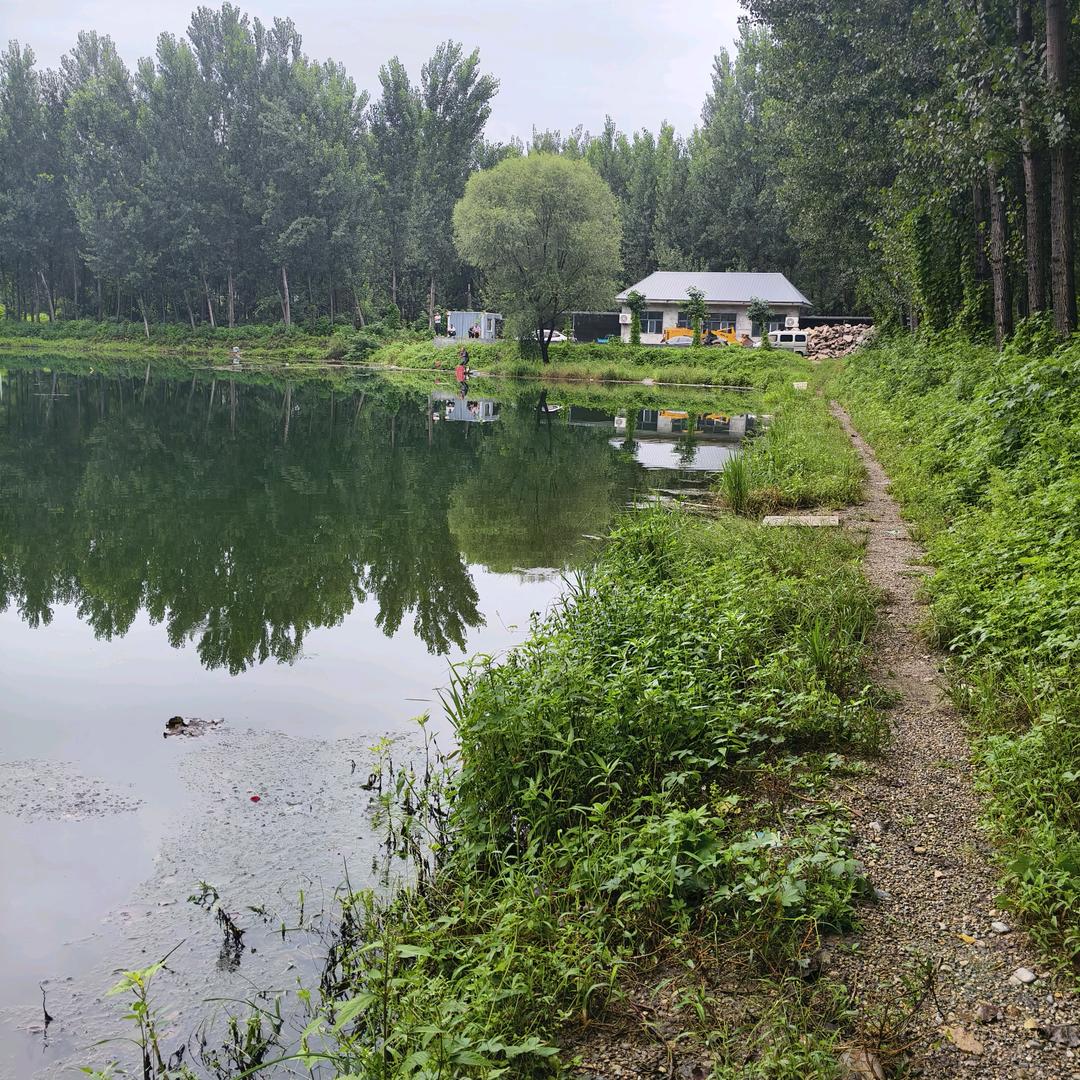 唐县歇马休闲垂钓园