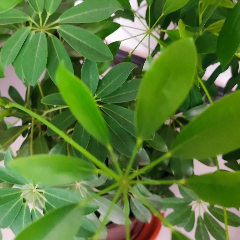 拥抱健康，拥抱美丽