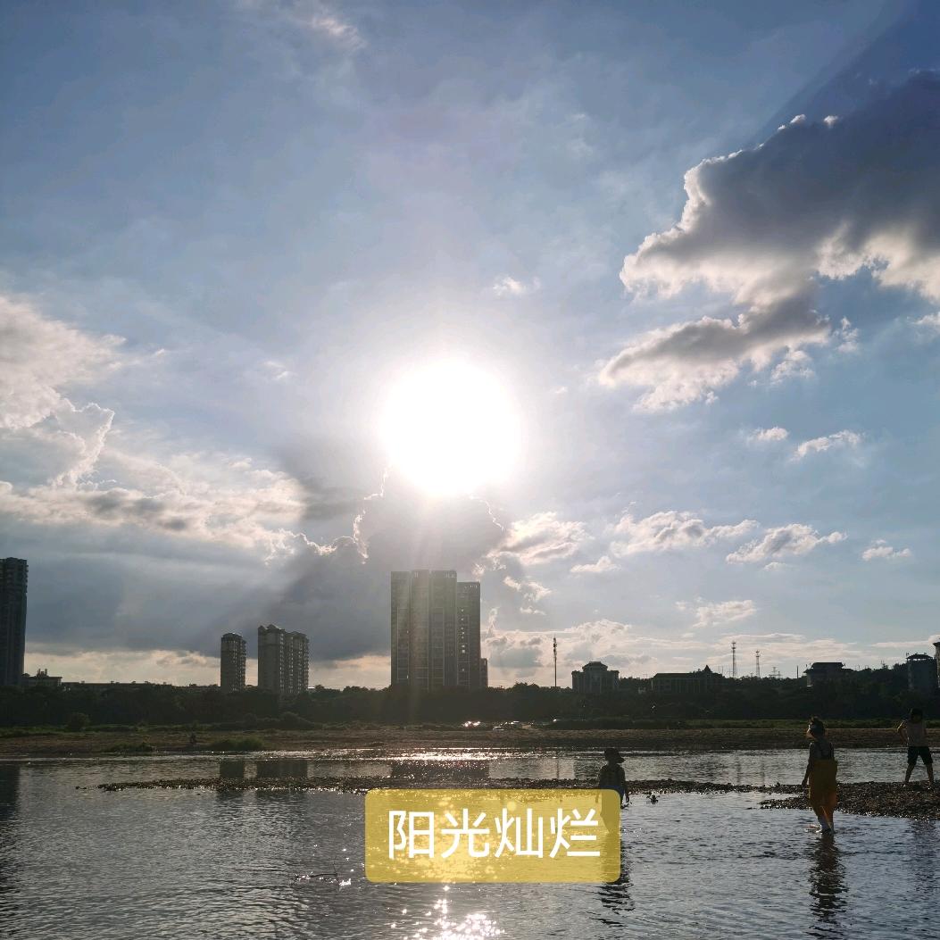 农三宝（灵茏苗）