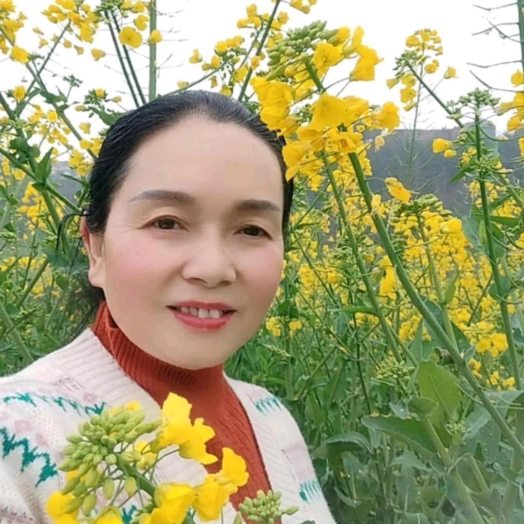 🌻🍎六零后的林阿姨🌻🍎