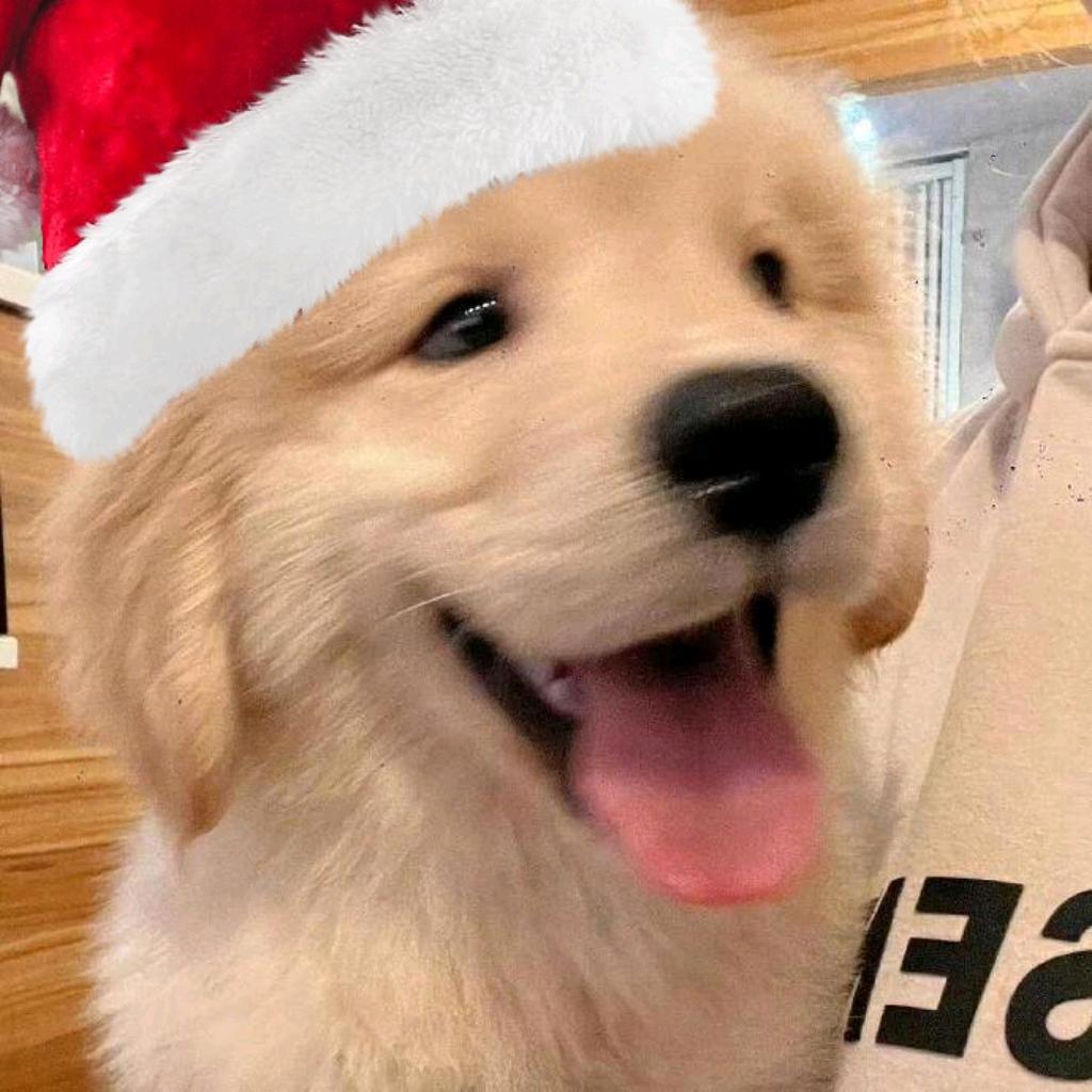 阿严今天好极了！！！