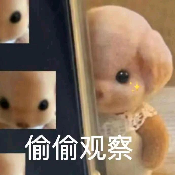 xixi