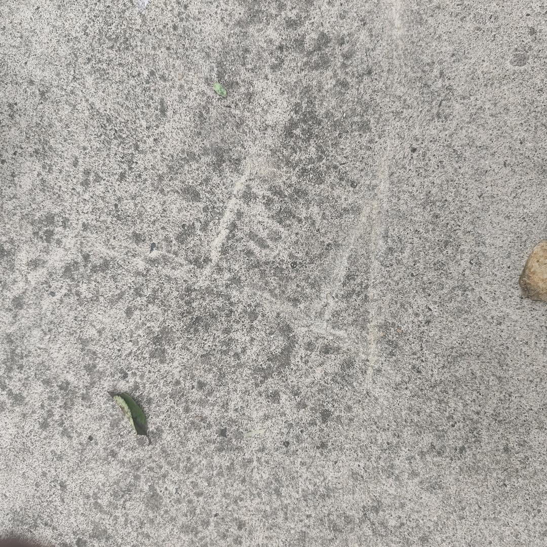 金莱物资回收