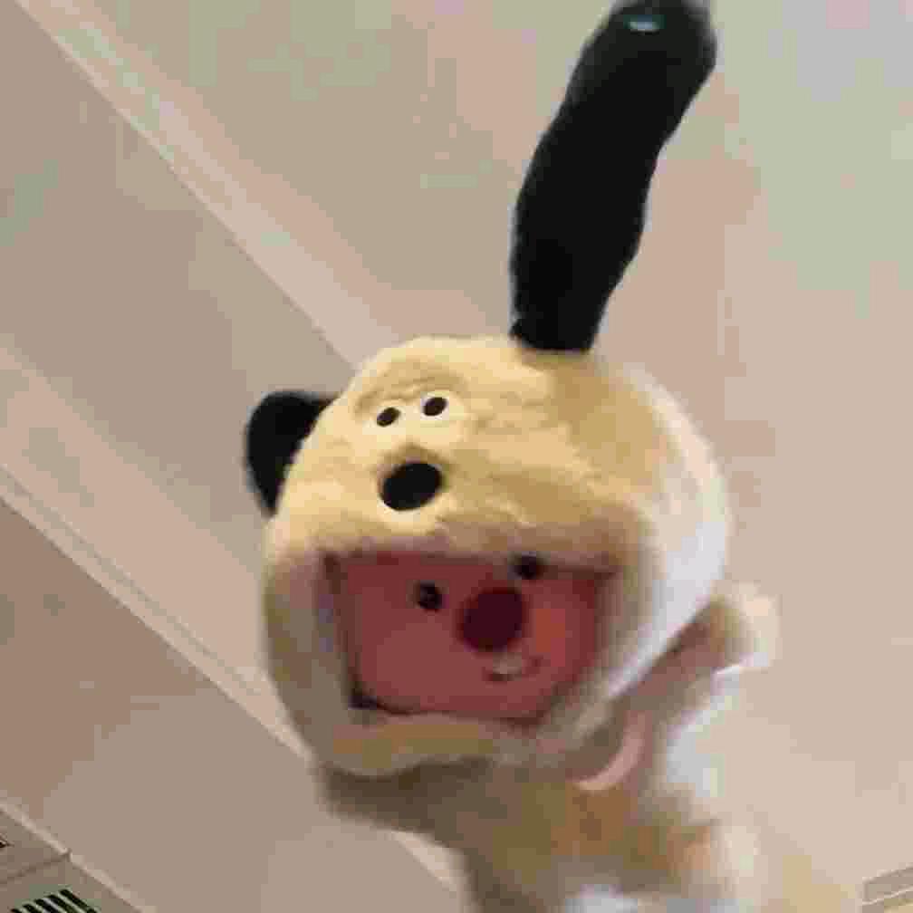 如果云知道