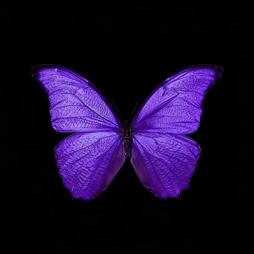 8 24.