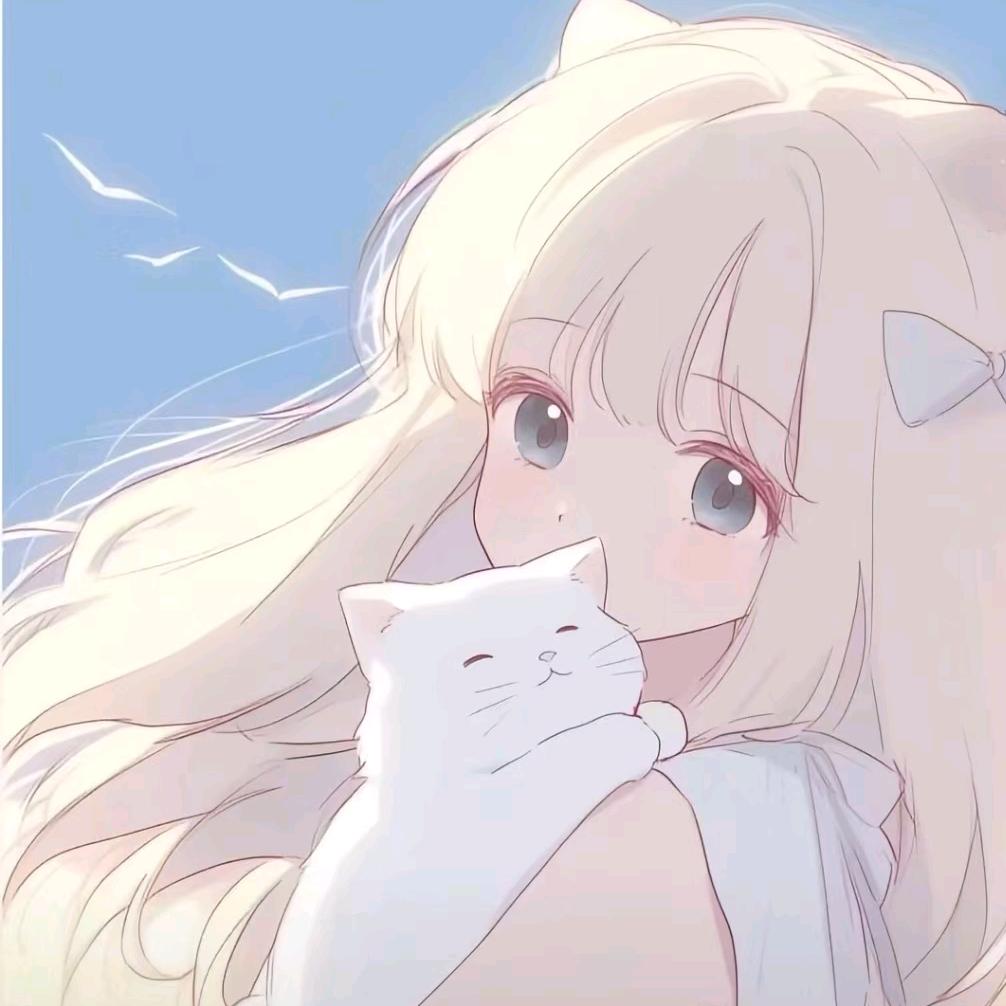 十六。