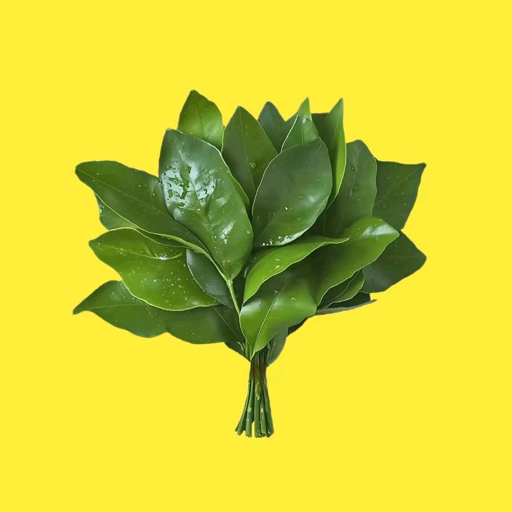 🌷