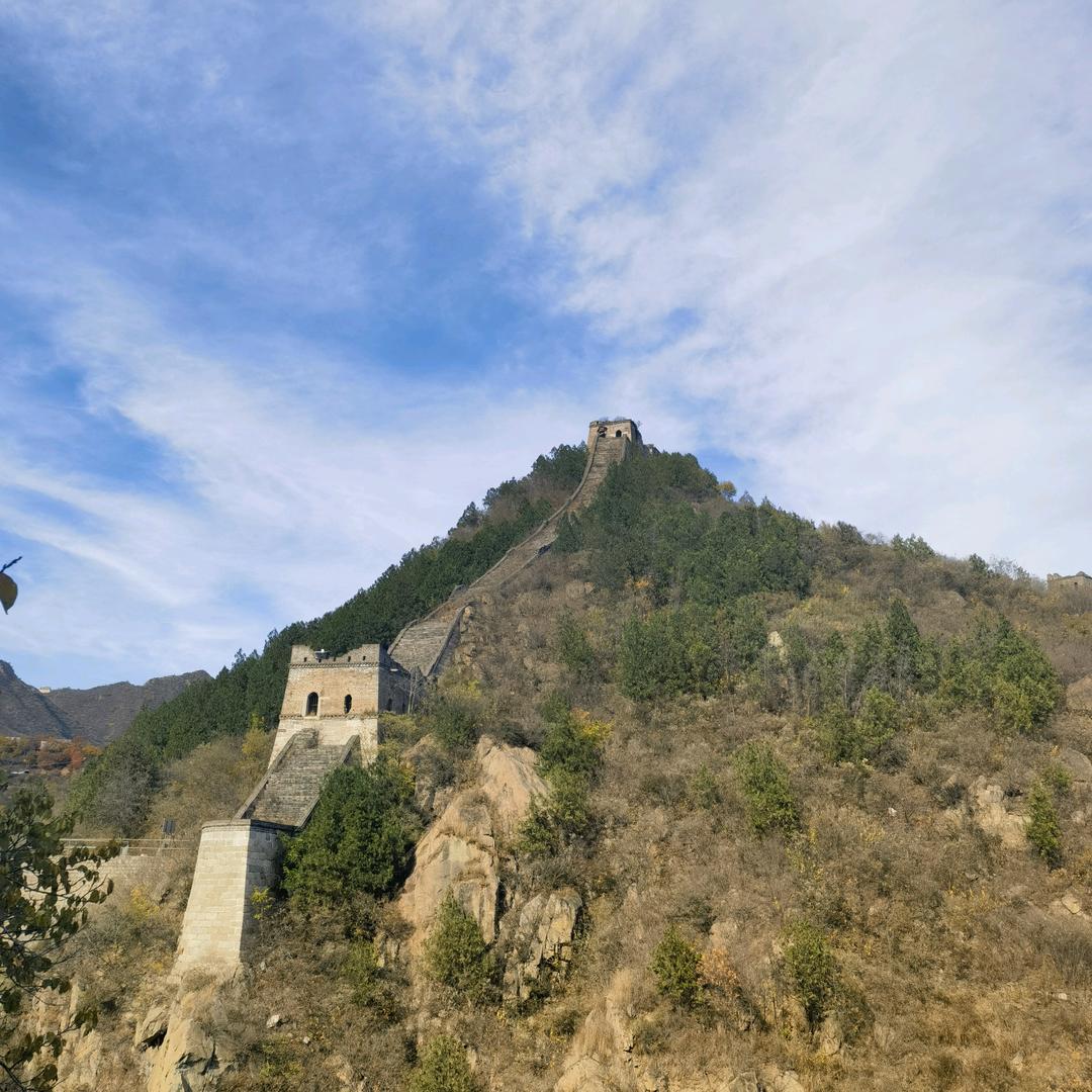 李晨晓