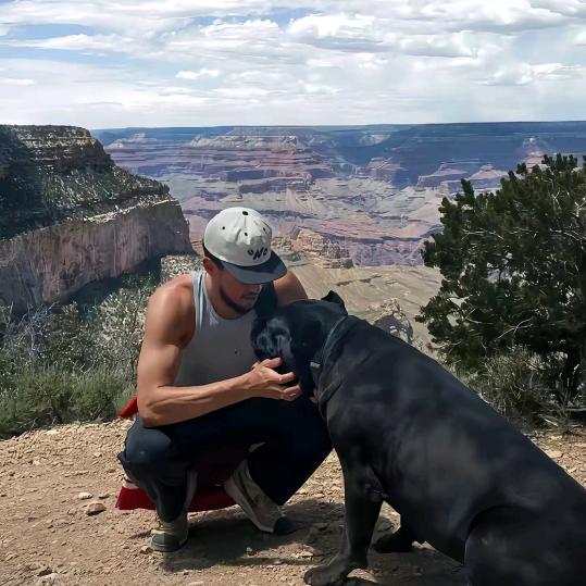 -　⃢👁━👁⃢　-