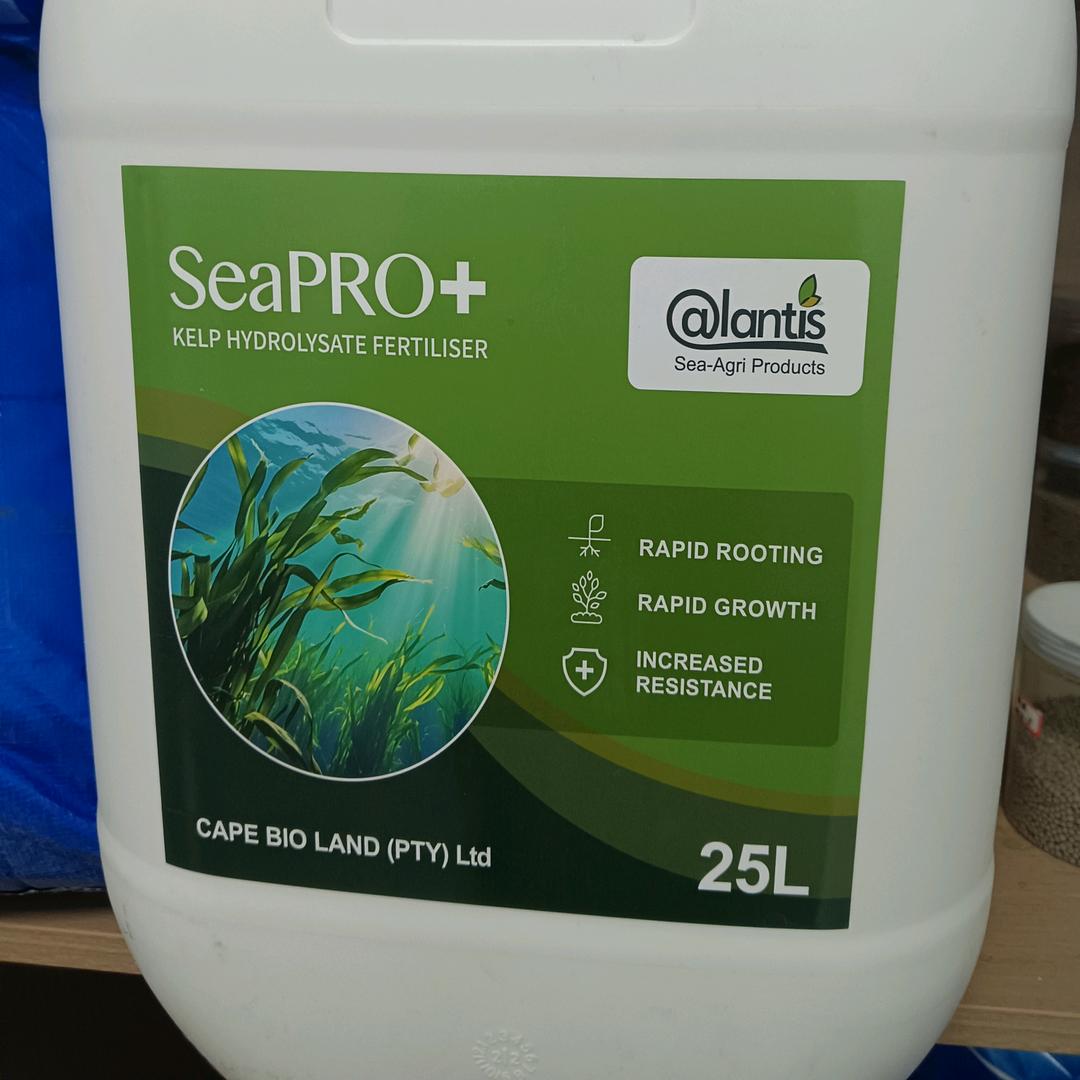 山东烟台藻之蓝海藻肥厂家刘艳杰