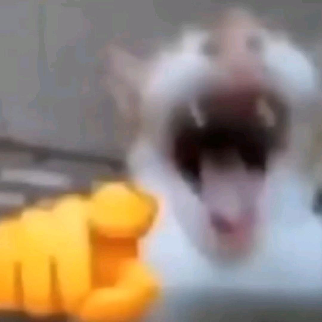 宇哥