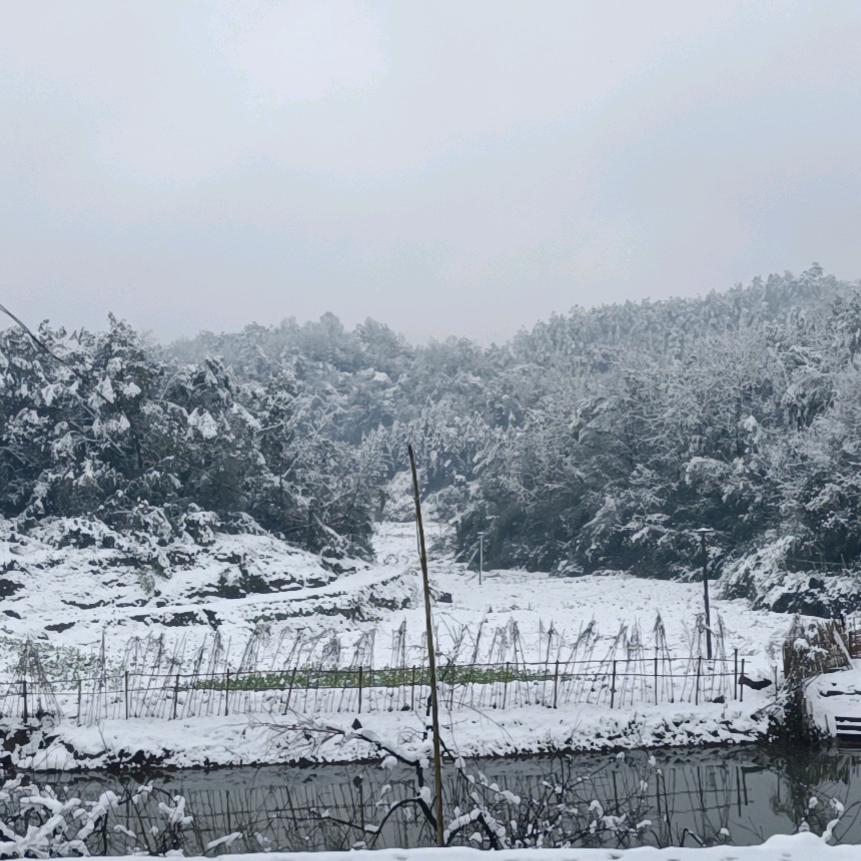 乡山头像