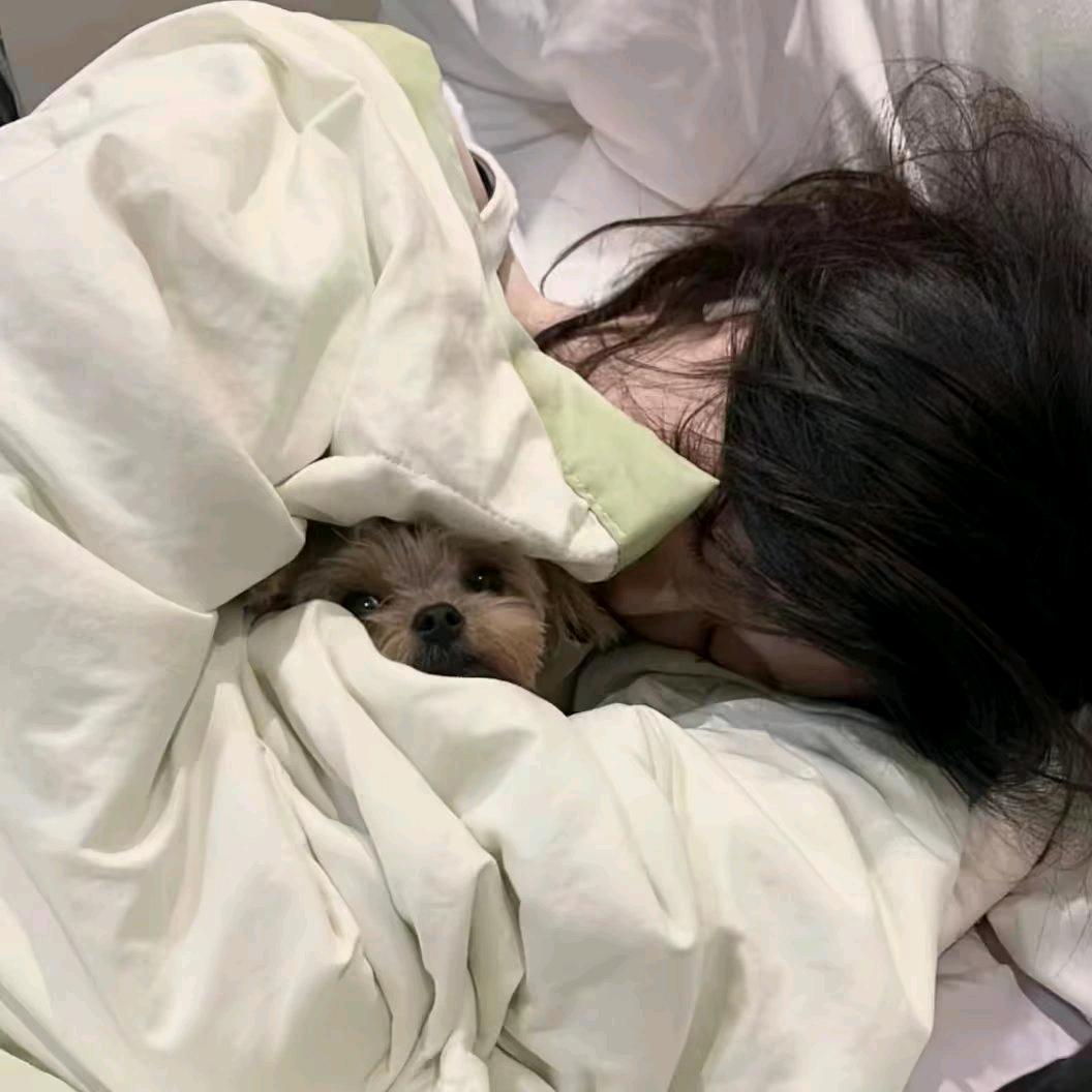 晚安.