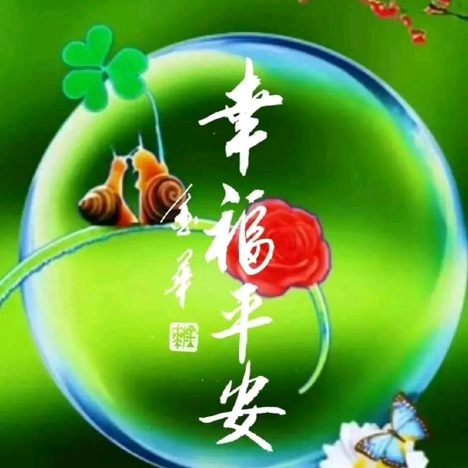 善缘姐❤️