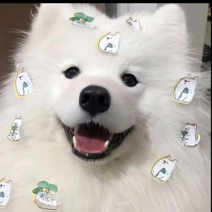 嗯行头像