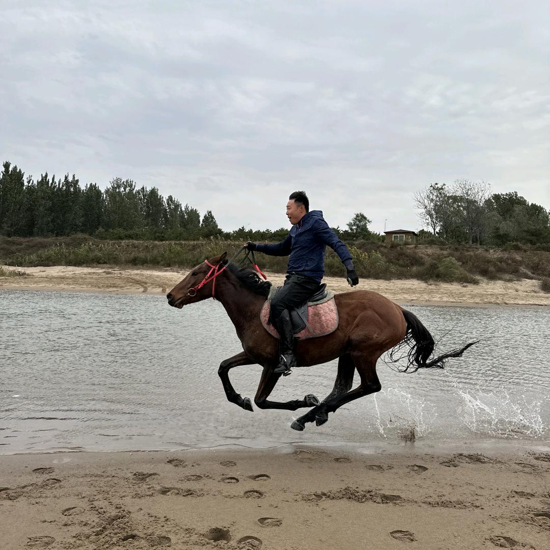 侯西西（清河马汇）