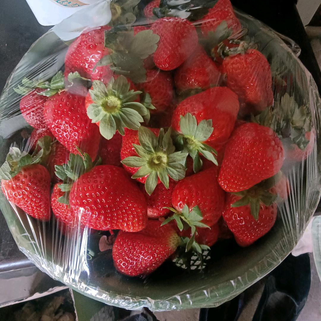 幸香草莓采摘园