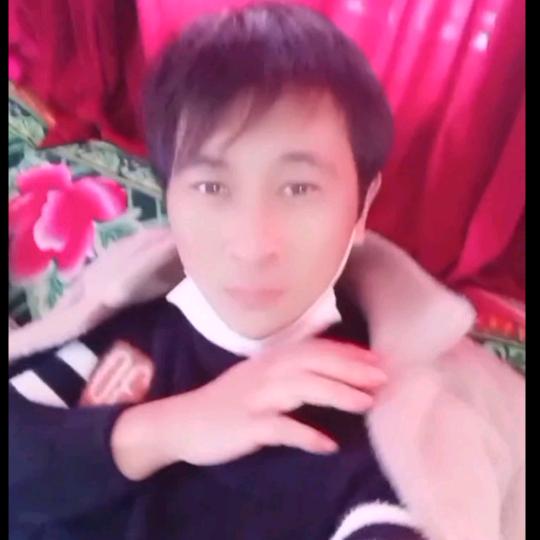 吉克翼龙