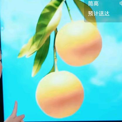 觉者玄润