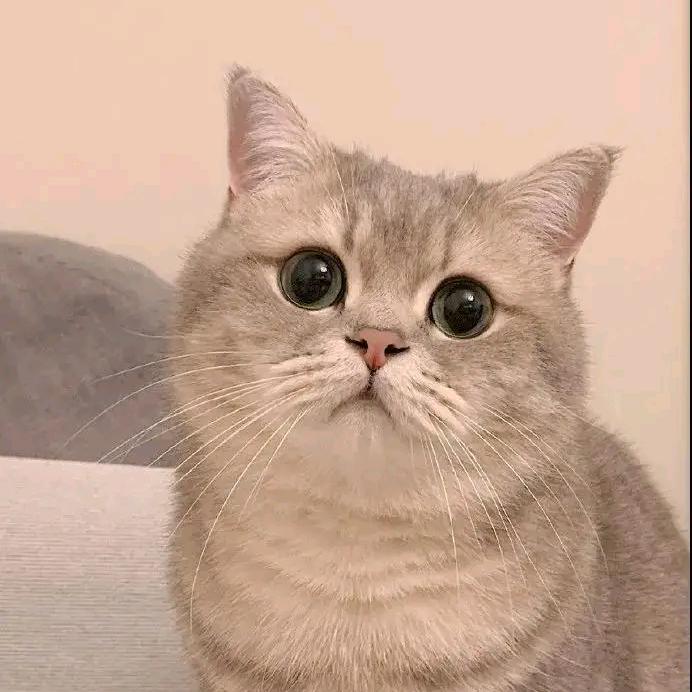 明傲百货