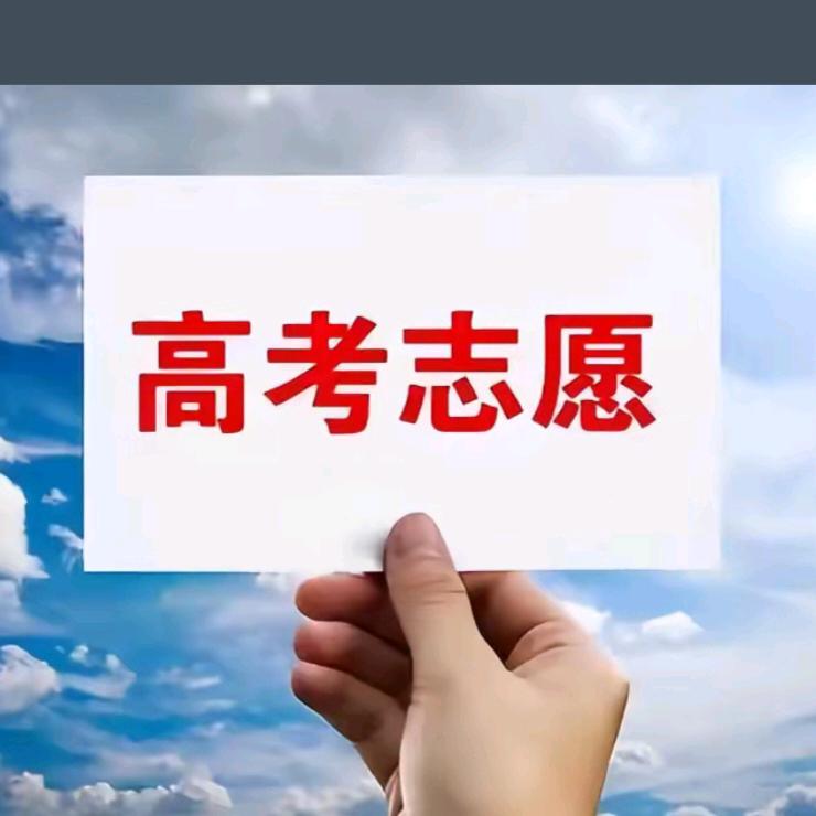 河北麒麟高报