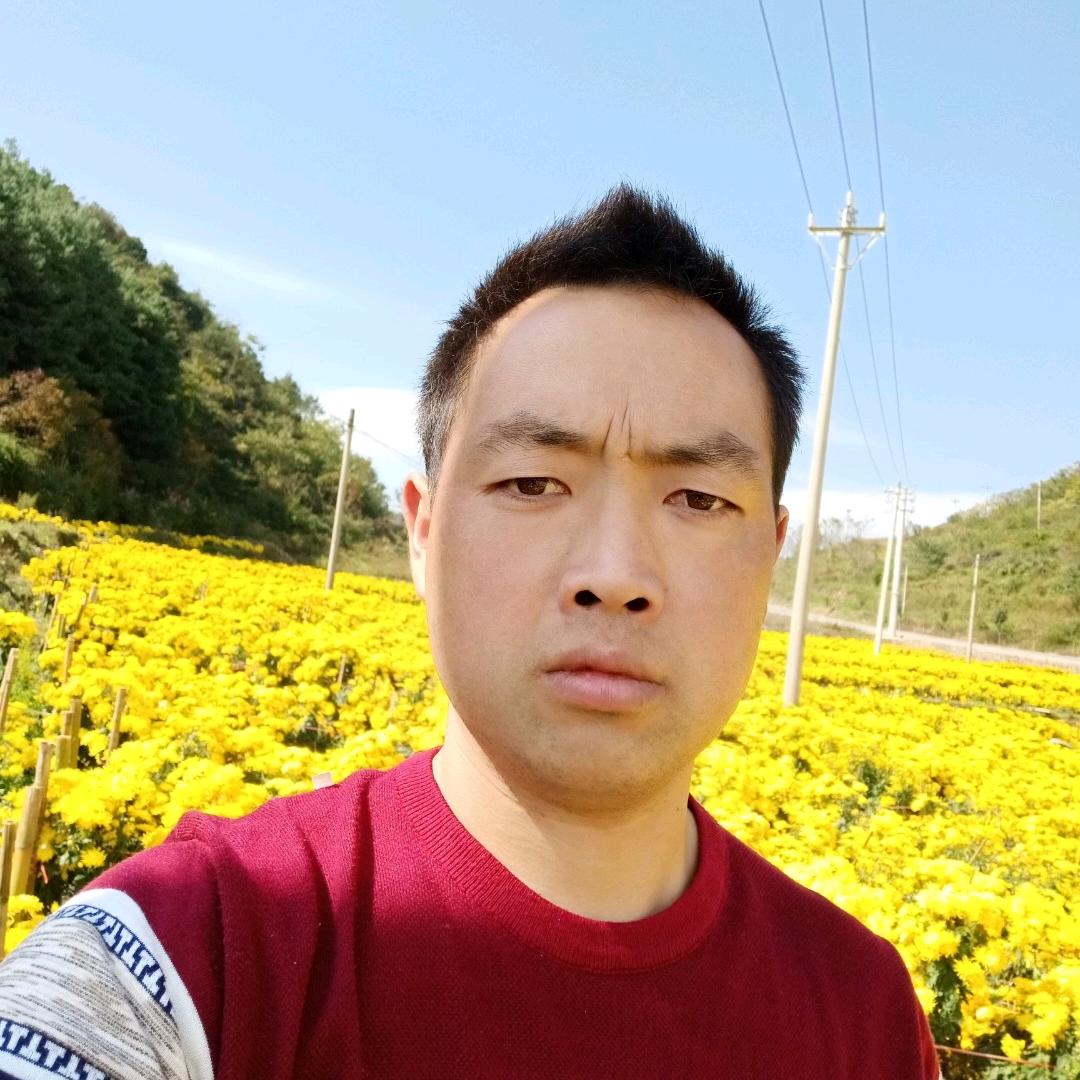 香雨林