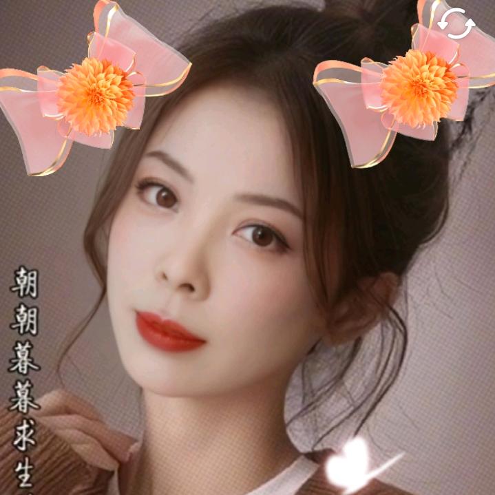 海尔专卖店(政通东街店)专用号