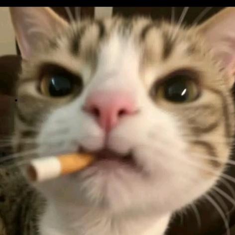 慕仪眠头像