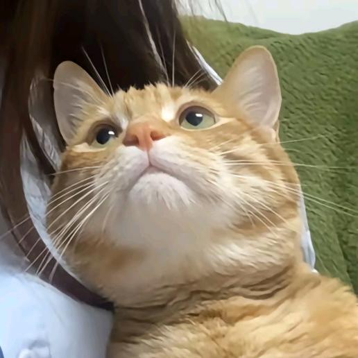 徐宝珠