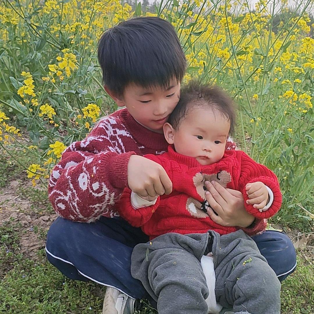 柯小七家的草莓