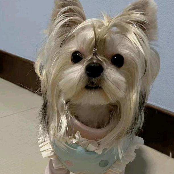 沉默