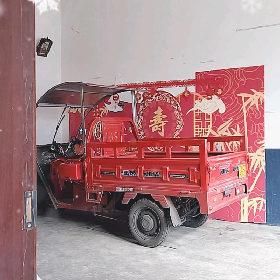 它是我最可爱的！🦅