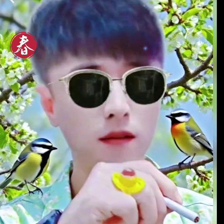 拼命三郎