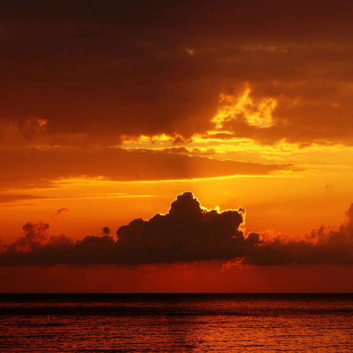 喝了酱油耍酒疯