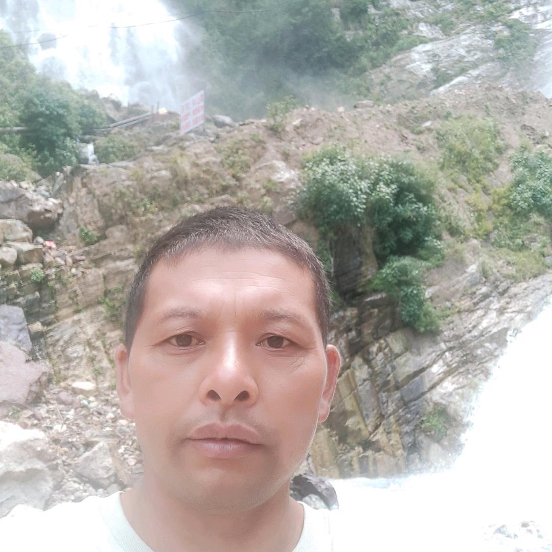 代办代收水果，西红柿