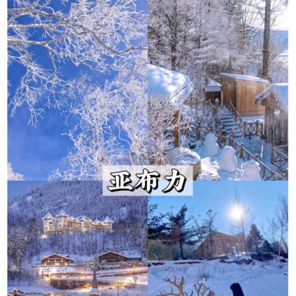 莉莉的奇妙之旅