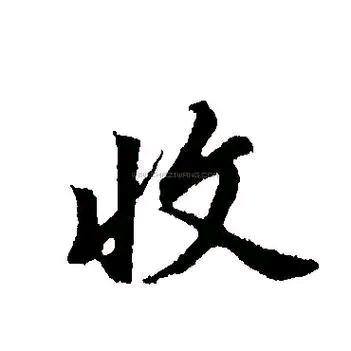 xl文化亓素滴