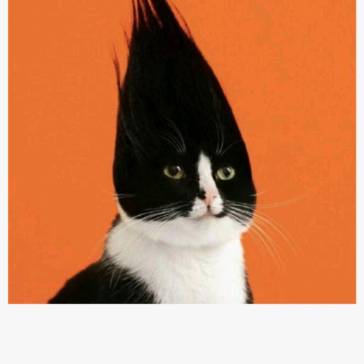 每天幸运开心被财神爷照顾的懒大王