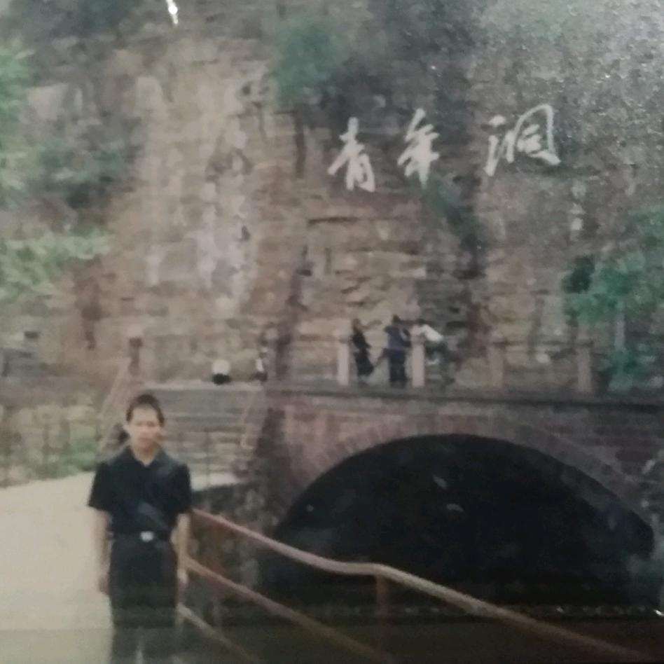 香山枫叶